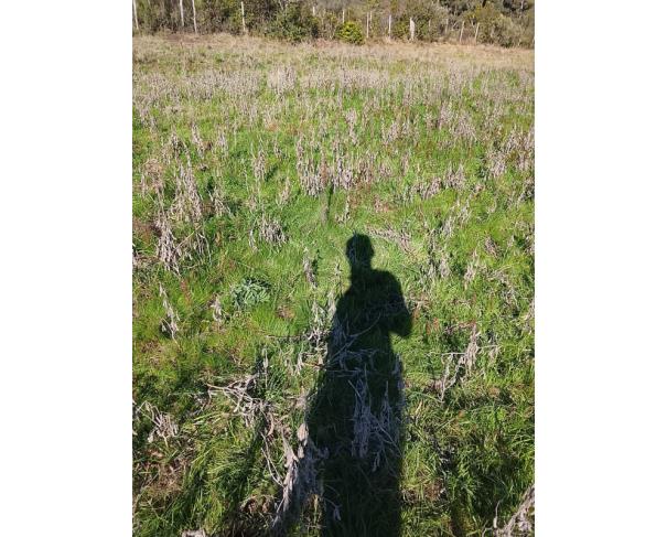 Foto de IMÓVEL RURAL | A.T. 64.438,13m² - UMA FRAÇÃO DE TERRAS DE CULTURA – LINHA FLORESTA | TUNAS/RS