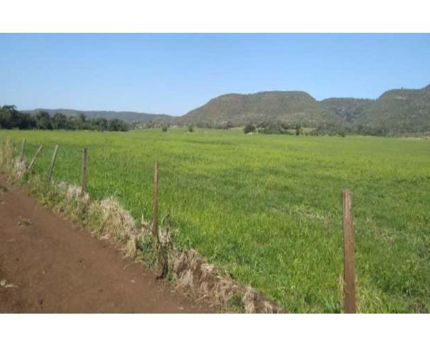 Foto de IMÓVEL RURAL | A.T. 674 HA | FAZENDA SERTÃOZINHO "I" | REGIÃO DE PECUÁRIA E PLANTIO DE SOJA / MILHO I CAMPO GRANDE/MS