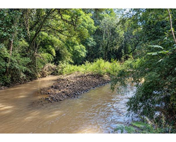 Foto de IMÓVEL RURAL: A.T. 86.000,00 M² –DISTRITO DE MARARI, TANGARÁ/SC.