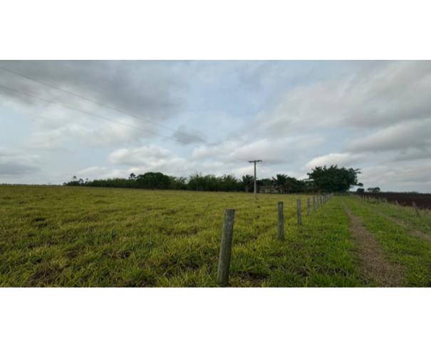 Foto de IMÓVEL RURAL | A.T. 06 HA | SÍTIO NOVA ESPERANÇA – COM BENFEITORIAS | CAMPO GRANDE/MS 
