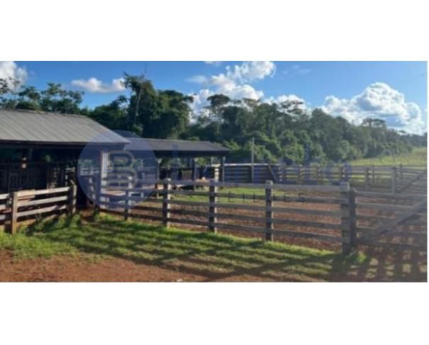 Foto de IMÓVEL RURAL | A.T. 797,7029HA FAZ. ÁGUA DA PRATA (DUPLA APTIDÃO) | ARIPUANÃ/MT