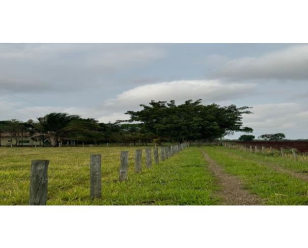Foto de IMÓVEL RURAL | A.T. 06 HA | SÍTIO NOVA ESPERANÇA – COM BENFEITORIAS | CAMPO GRANDE/MS 