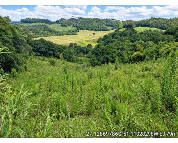 Foto de IMÓVEL RURAL: A.T. 86.000,00 M² –DISTRITO DE MARARI, TANGARÁ/SC.