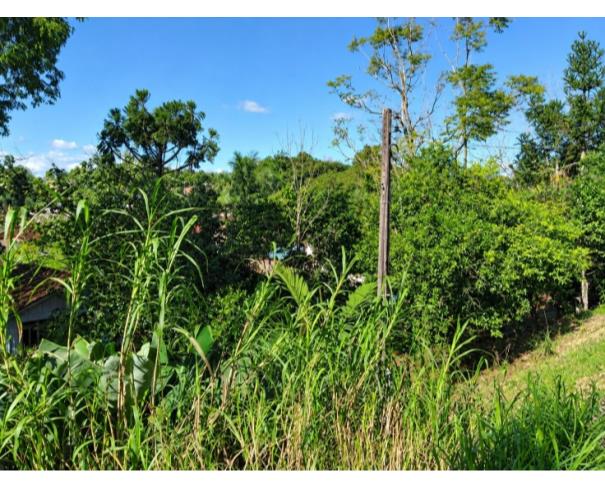 Foto de TERRENO URBANO | A.T. 872,23 M² – BAIRRO ITOUPUVA| BLUMENAU/SC.