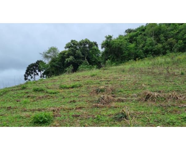 Foto de IMÓVEL RURAL: | A.T. 184.643,60M²| LINHA FREI CLEMENTE, BARROS CASSAL/RS.