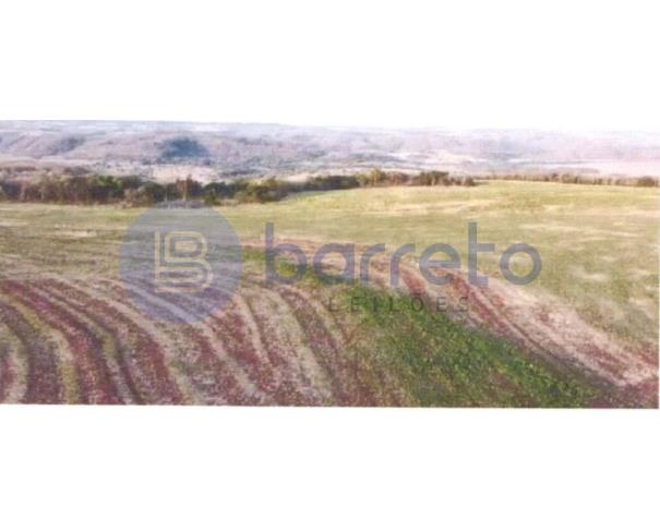 Foto de IMÓVEL RURAL | A.T. 187,0323HA FAZ. VÓ BINA E ALIANÇA | BANDEIRANTES/MS